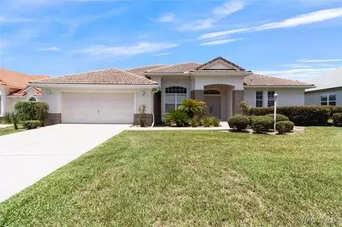251 W Mickey Mantle Path, Hernando, FL 34442 photo 1