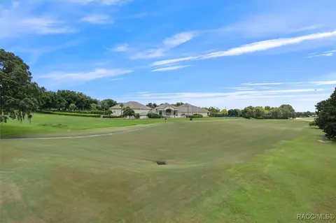 251 W Mickey Mantle Path, Hernando, FL 34442 photo 44