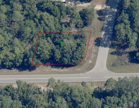 6699 N Bedstrow Blvd, Citrus Springs, FL 34434