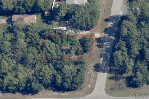 6697 N Bedstrow Blvd, Citrus Springs, FL 34434