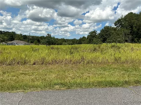 7870 N Merrimac Way, Citrus Springs, FL 34434