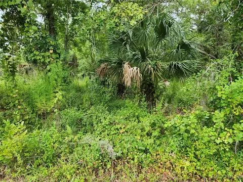 2070 E Patchwork Ln, Inverness, FL 34453 photo 1