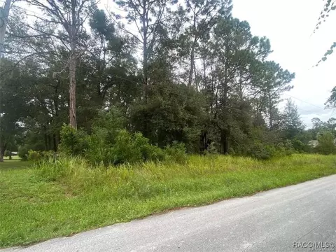 2315 W Dolphin Dr, Citrus Springs, FL 34434