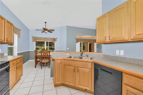 971 W Silver Meadow Loop, Hernando, FL 34442 photo 7