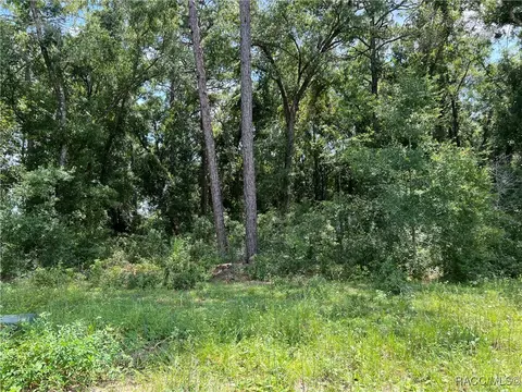 3535 S Oakdale Ter, Inverness, FL 34452