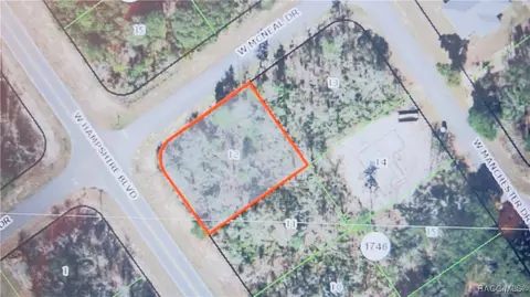 1401 W Hampshire Blvd, Citrus Springs, FL 34434