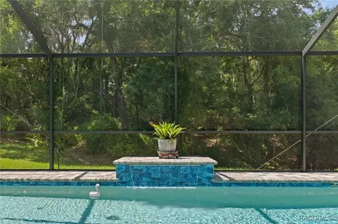 3392 N Canterbury Lake Dr, Hernando, FL 34442 photo 44