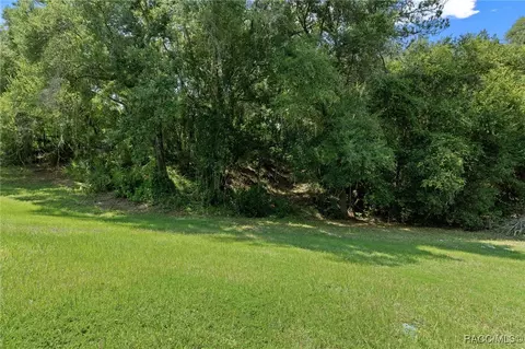 3392 N Canterbury Lake Dr, Hernando, FL 34442 photo 45