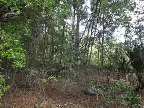 8409 W Elaine St, Crystal River, FL 34428