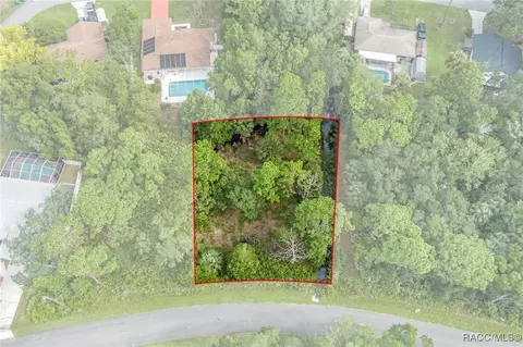 11181 W Samson Ln, Crystal River, FL 34428