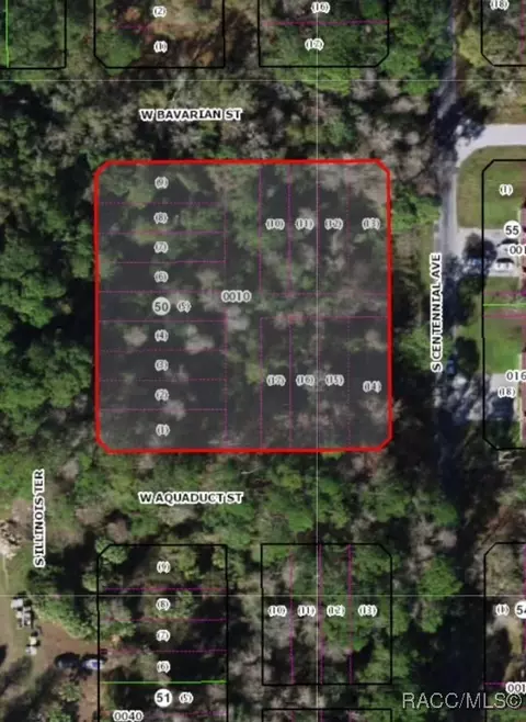 3919 S Illinois Ter, Homosassa, FL 34448