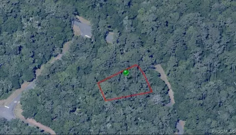 11027 N Edith Pt, Citrus Springs, FL 34434