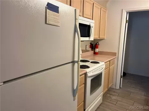 115 E Hartford St, Hernando, FL 34442 photo 19