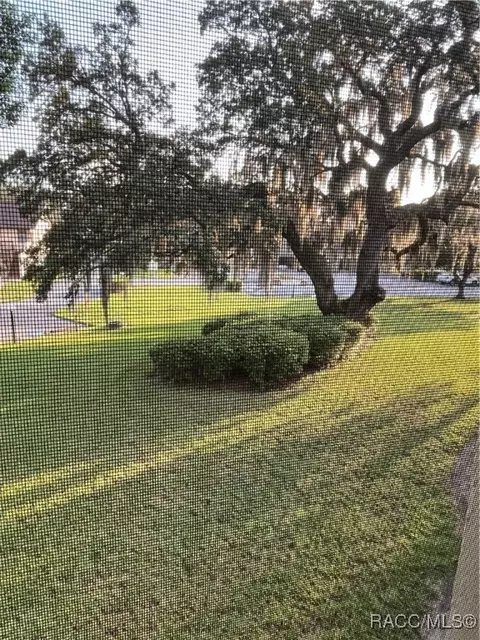 115 E Hartford St, Hernando, FL 34442 photo 5