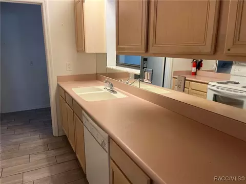 115 E Hartford St, Hernando, FL 34442 photo 18