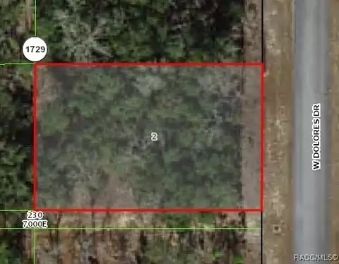 1326 W Dolores Dr, Citrus Springs, FL 34434