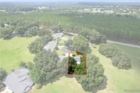 2319 N Hendry Pt, Hernando, FL 34442 photo 36