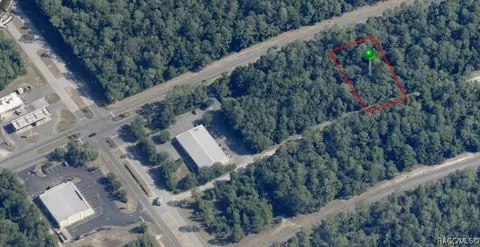 9681 N Citrus Springs Blvd, Citrus Springs, FL 34434