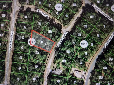 10850 N Hatari Dr, Citrus Springs, FL 34434