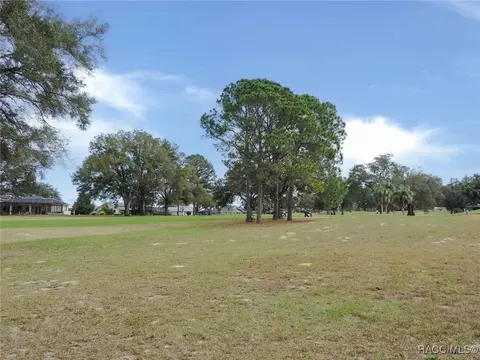 547 E Dakota Ct, Hernando, FL 34442 photo 35
