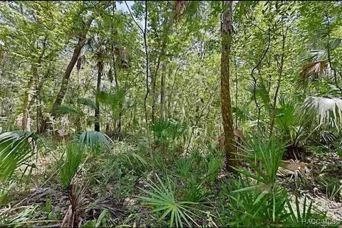 11070 W Bareto Ln, Homosassa, FL 34448