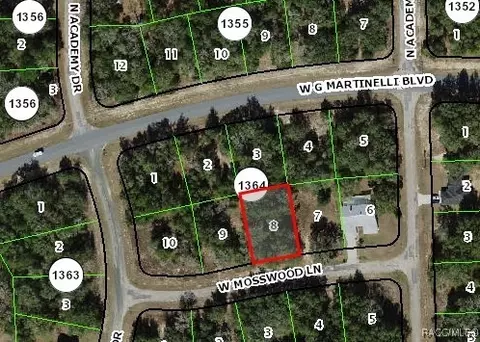 1397 W Mosswood Ln, Citrus Springs, FL 34434