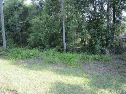 3893 E Forest Dr, Inverness, FL 34453 photo 2