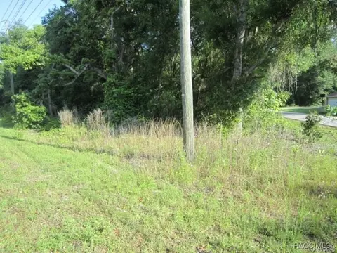 3893 E Forest Dr, Inverness, FL 34453 photo 4