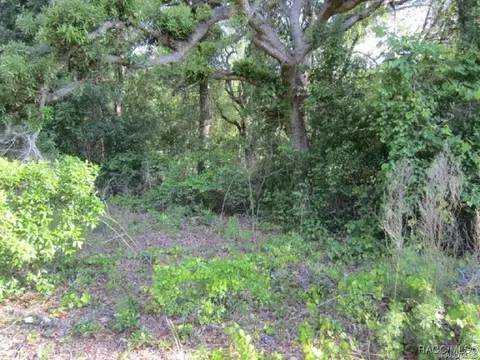 3893 E Forest Dr, Inverness, FL 34453 photo 3