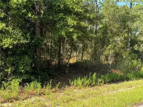 00 SW Neptune Blvd, Dunnellon, FL 34431