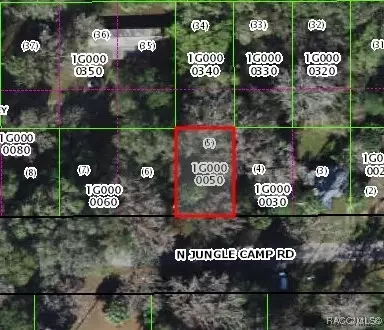 2419 N Junglecamp Rd, Inverness, FL 34453