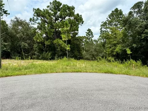 11349 N Zeus Pt, Dunnellon, FL 34433