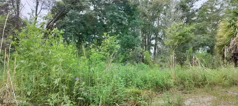 96 N Sheltering Oaks Dr, Inverness, FL 34453