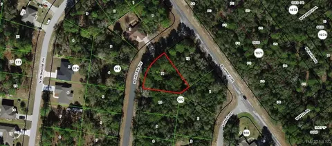 8273 N Galena Ave, Citrus Springs, FL 34434
