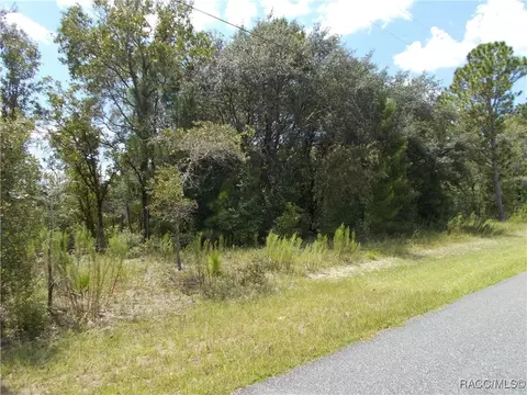 1552 W Riley Dr, Citrus Springs, FL 34434