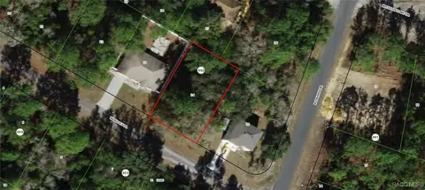 2963 W Juliet Pl, Citrus Springs, FL 34433