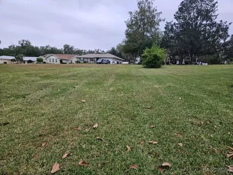 2961 E Brigadoon Ct, Hernando, FL 34442 photo 3
