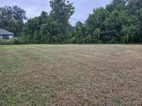 2961 E Brigadoon Ct, Hernando, FL 34442 photo 5