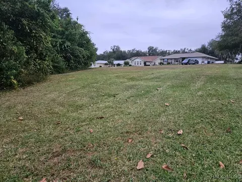 2961 E Brigadoon Ct, Hernando, FL 34442 photo 2