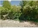 7974 N Golfview Dr, Citrus Springs, FL 34434