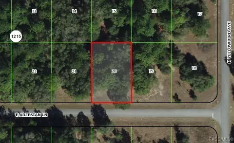 1803 E Artesian Ln, Citrus Springs, FL 34434