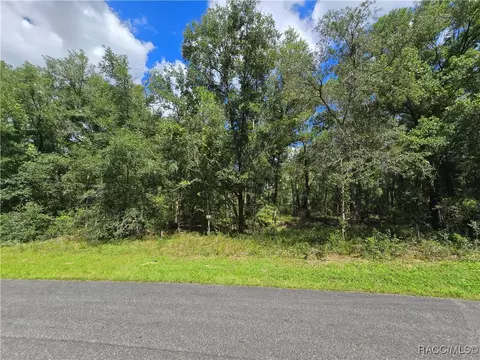 9115 N Aruba Dr, Dunnellon, FL 34434