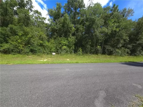9121 N Aruba Dr, Dunnellon, FL 34434