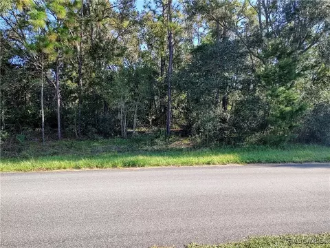 2771 W Gaspar Dr, Dunnellon, FL 34433