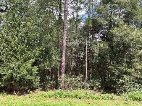 tbd 202nd Ct, Dunnellon, FL 34431