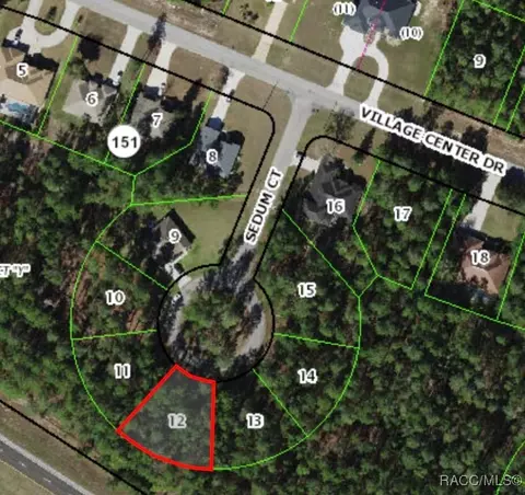 9 Sedum Ct, Homosassa, FL 34446