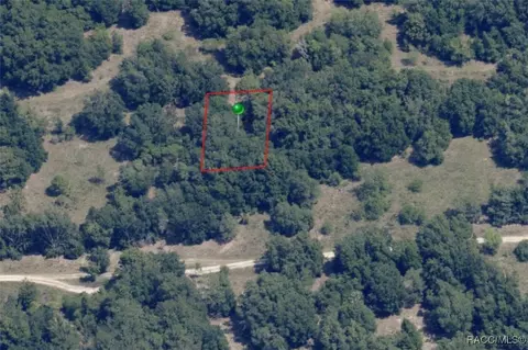 2403 Jefferson St, Inverness, FL 34453