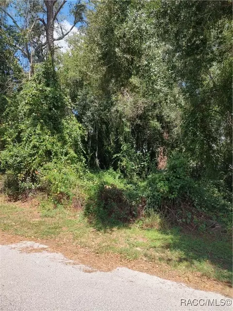 814 Poplar St, Inverness, FL 34452