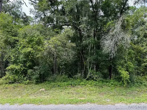 9036 N Lily Dr, Dunnellon, FL 34434