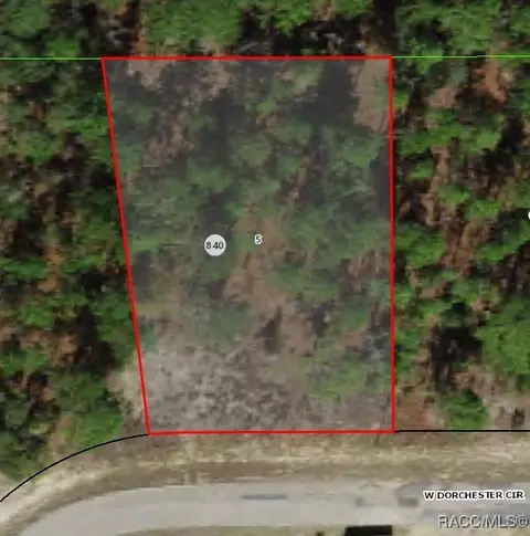 4162 W Dorchester Cir, Citrus Springs, FL 34433